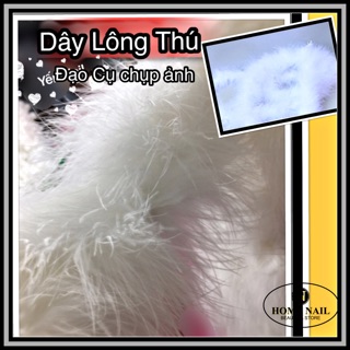 Thảm Lông -Dây Lông Vũ -Thảm đá .