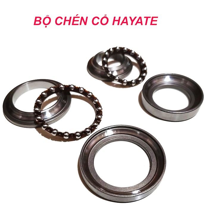 CHÉN CỔ HAYATE, AXELO