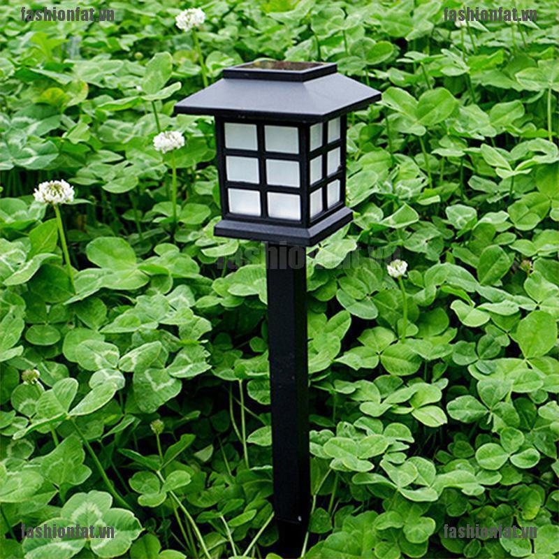 Đèn LED trang trí vườn chạy bằng năng lượng mặt trời