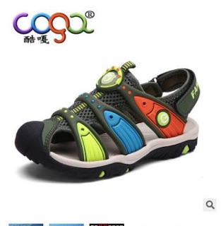 Sandan coga