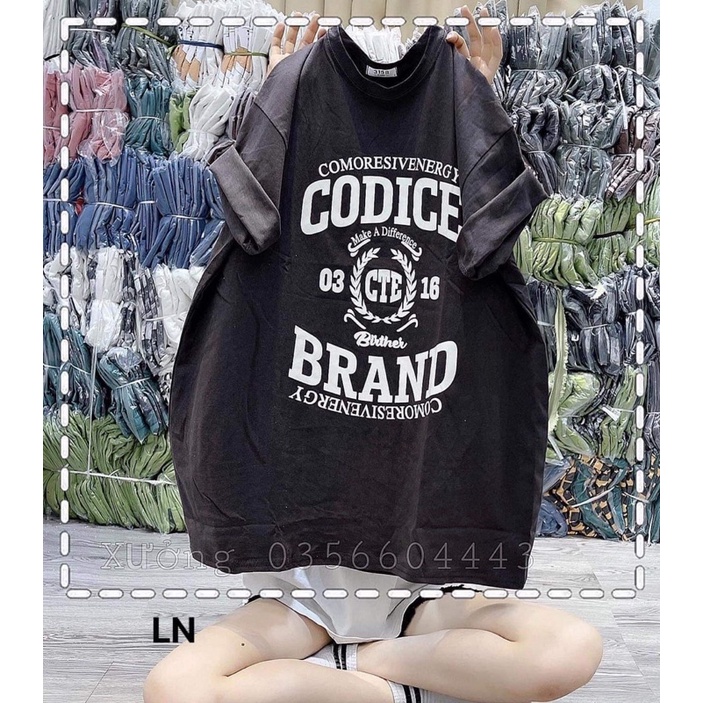 Áo phông CODICE LN12