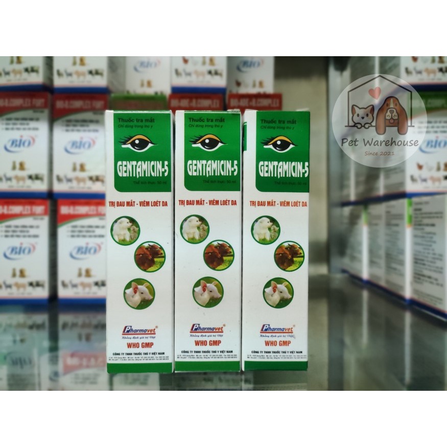 Gentamicin-5 dùng cho đau mắt viêm loét da trên thú cưng chó mèo