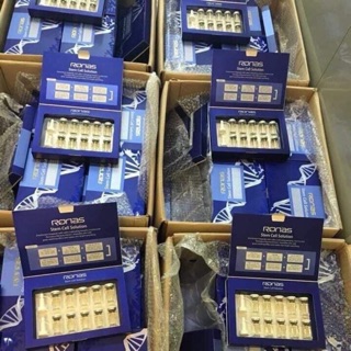 Set tế bào gốc