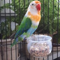 Shop Miền Nam Mall