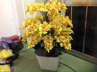 Nguyên liệu làm hoa đá
