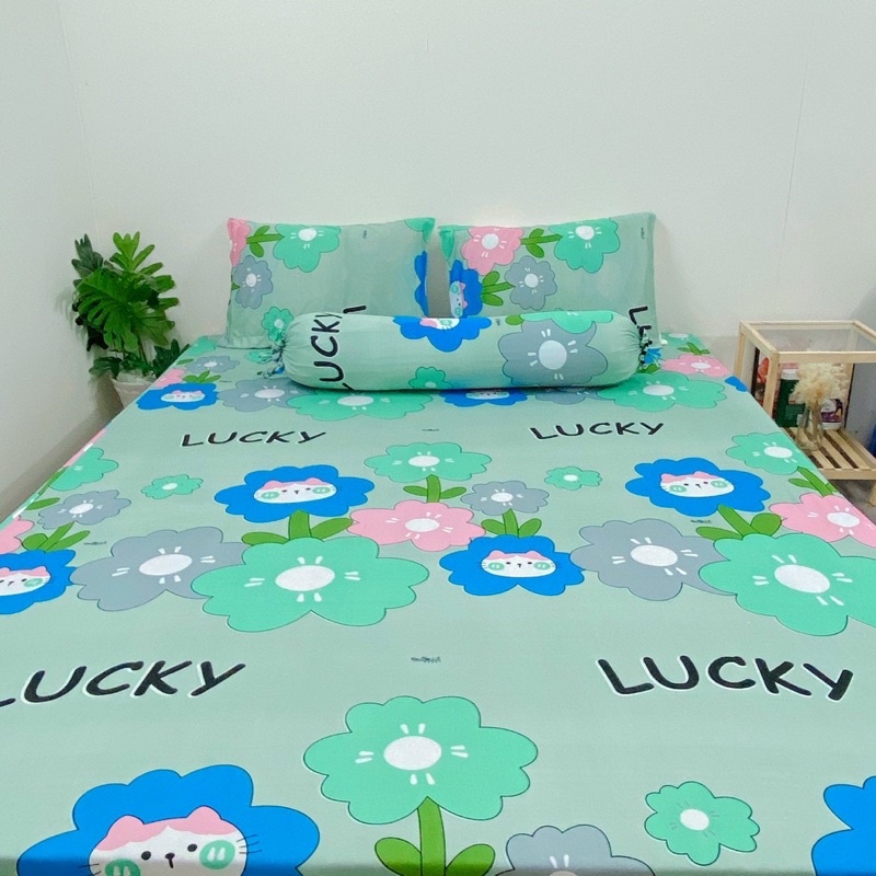 Bộ ga và vỏ gối thun mẫu bông hoa