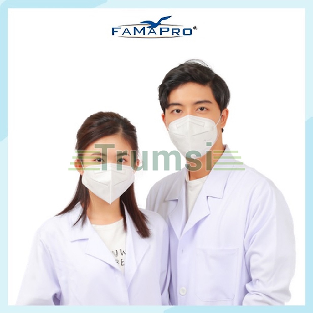 Khẩu Trang Y Tế Famapro VN95 Nam Anh Chính Hãng 4 Lớp Kháng Khuẩn Cao Cấp Hộp 10 Cái