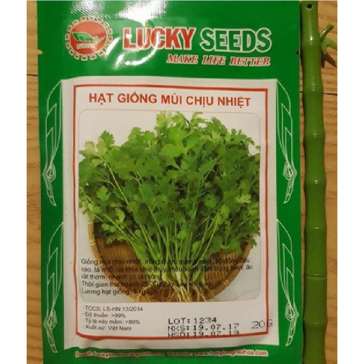 Hạt giống rau mùi ( Mùi ta - mùi cồn tía 20gr )