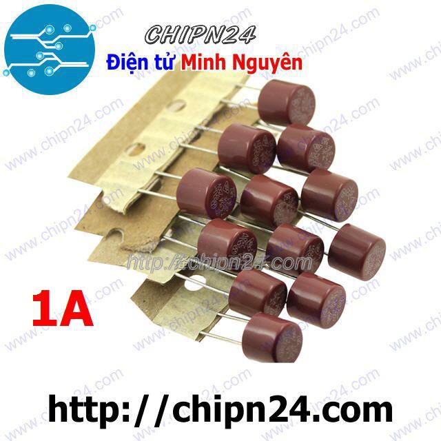 [2 CÁI] Cầu Chì Tròn 8x8mm 1A 250V (T1A250V)