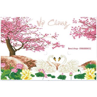 Tranh đá cao cấp ( giá sỉ) Vợ Chồng VS250 (80*56)