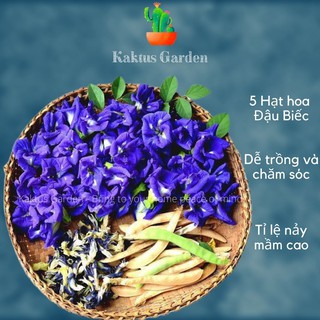 Hạt hoa đậu biếc, gói 5 hạt, tỉ lệ nảy mầm cao, dễ trồng dễ chăm sóc - Kaktus Garden
