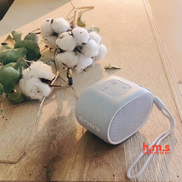 Loa chống nước không dây Bluetooth Extra Bass SRS-XB01