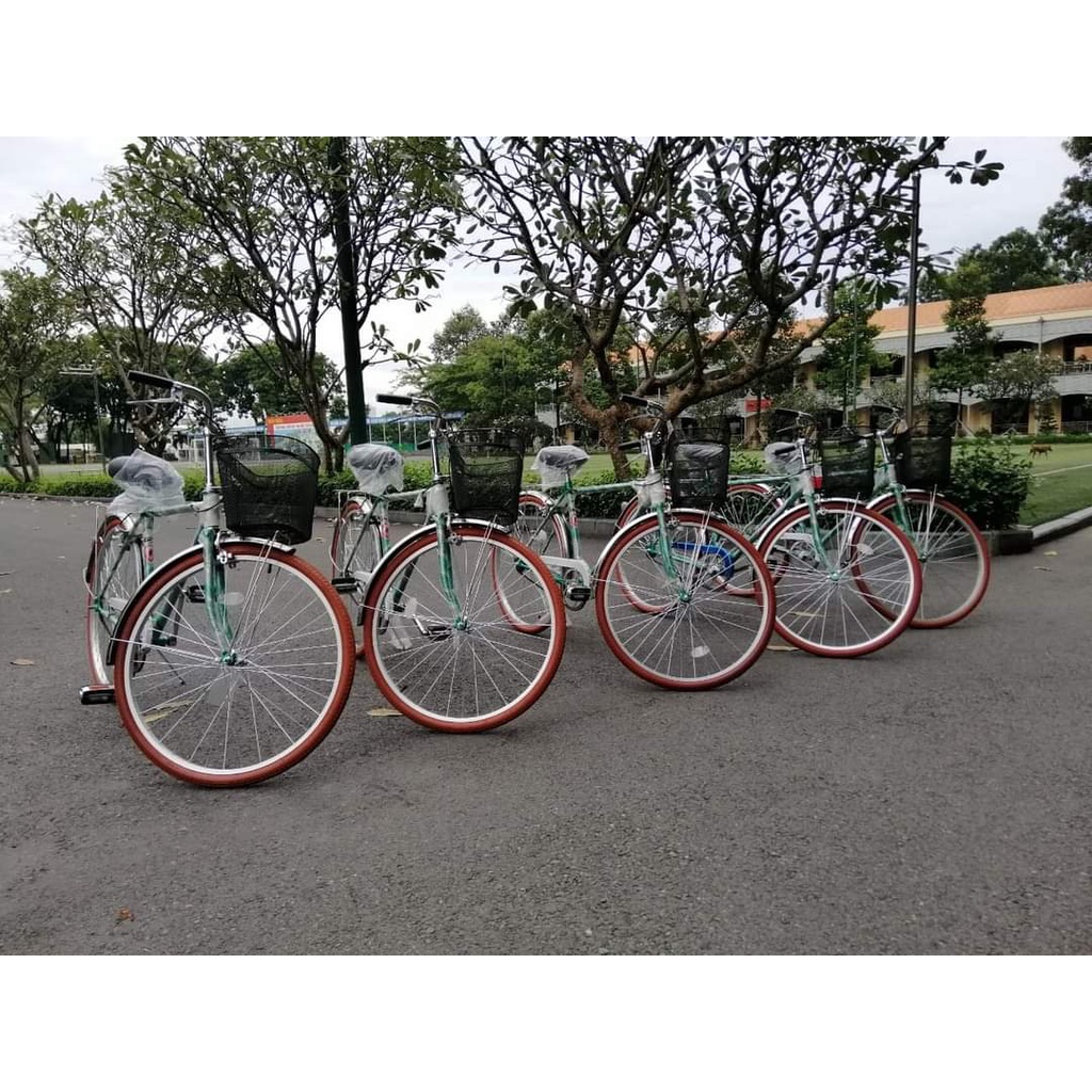 Xe đạp Thống Nhất truyền thống Nam