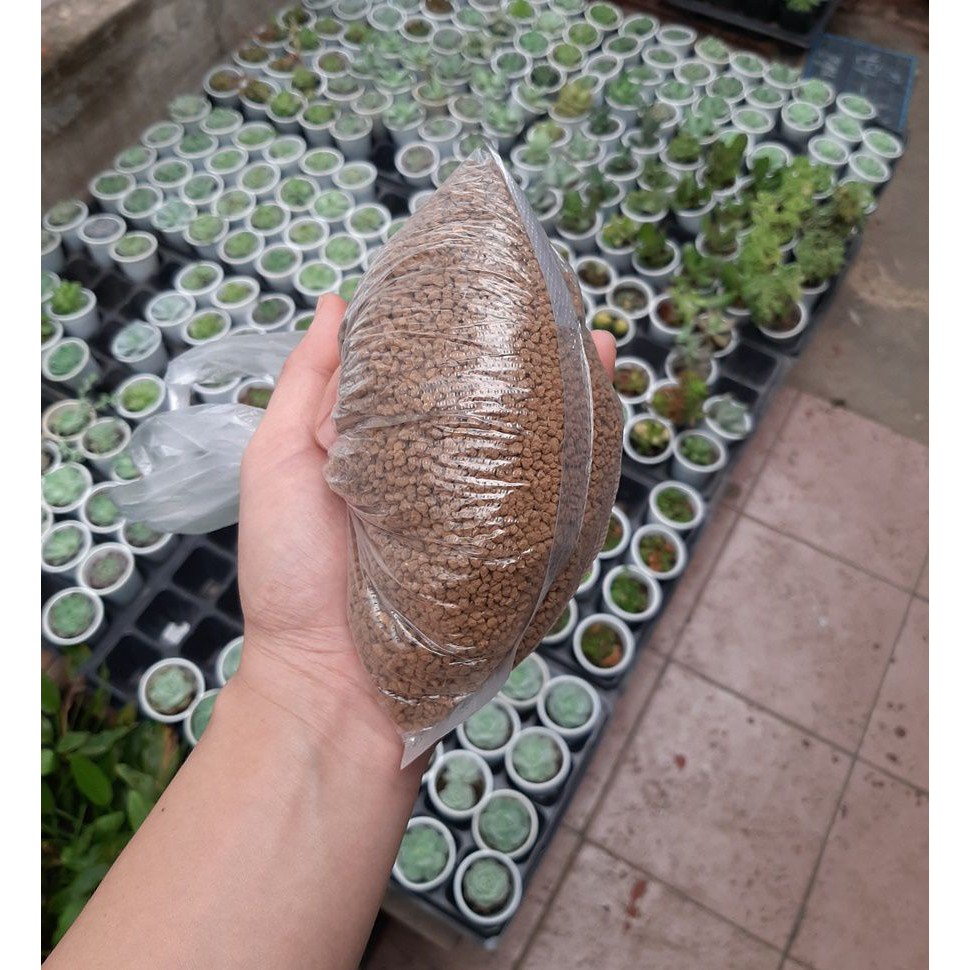 Đất Akadama trồng sen đá, xương rồng, gói 500g