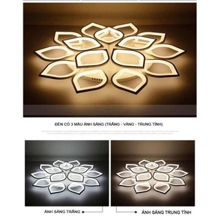 Sen 15 cánh, khổ 1,2 mét - dành cho phòng khách, khách sạn trên 30 m2.