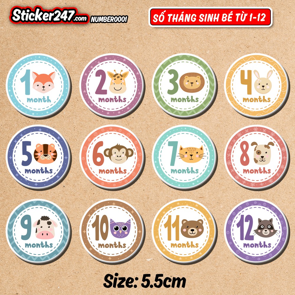𝑭𝒓𝒆𝒆𝒔𝒉𝒊𝒑 [𝐒𝐞𝐭 𝟭𝟮 𝐒𝐭𝐢𝐜𝐤𝐞𝐫] Hình dán trang trí từ số 1 đến 12 để trang trí thiệp, album, lưu bút cho bé - sticker 247