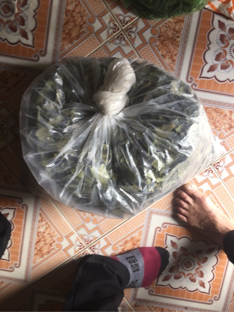 Lá găng khô làm thạch xanh khô 500g,1kg