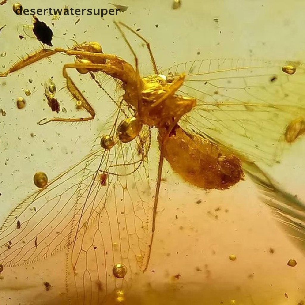 Ống kính Macro 20X cho điện thoại