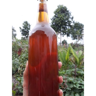 Mật ong rừng nguyên chất 💯 được lấy từ rừng Hà Tĩnh