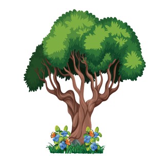 Decal DÁN TƯỜNG CÂY HOA TRANG TRÍ LỚP HỌC, TRƯỜNG MẦM NON TIỂU HỌC