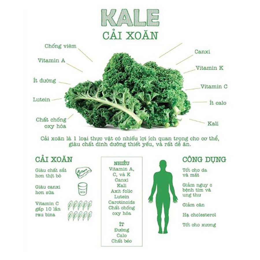 Bột cải xoăn Kale Dalahouse- Thực phẩm sạch từ rau củ quả 50gr