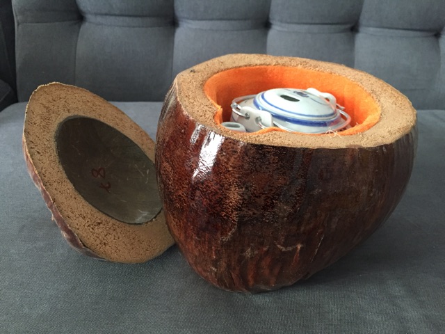 Trái dừa ủ bình trà-bình trà.