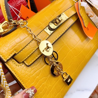 Túi hm dây charm fullbox