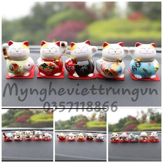 Set Mèo Mini Trang Trí oto