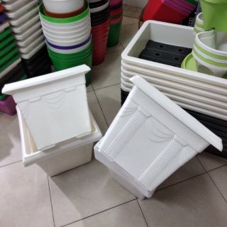 Combo 5 chậu vuông nơ to