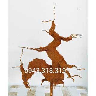 Gốc bonsai mai đào dáng rồng 60cm