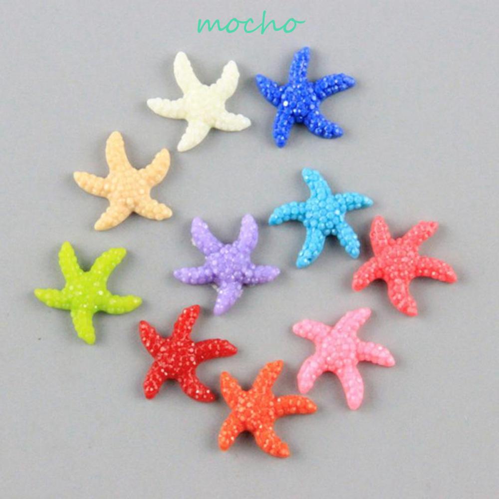 Sao Biển Nhiều Màu Dễ Thương Dùng Trang Trí Bể Cá