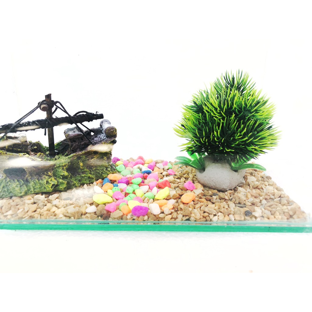 🐬 Bể cá mini  25*13*15cm dán viền kính đen sang trọng