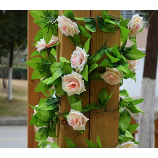 Hoa giả- Dây hoa hồng leo HJ023