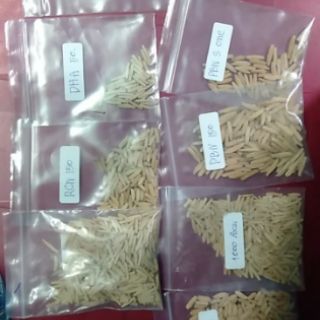 Gói 10 Hạt sứ kim tự tháp (12k/hạt)