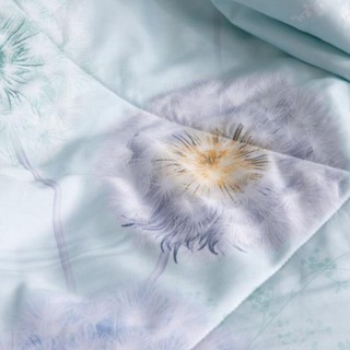 [ LOẠI CAO CẤP] Chiếu Tencel cao su non
