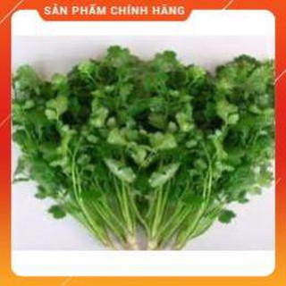 HẠT GIỐNG MÙI CAO SẢN