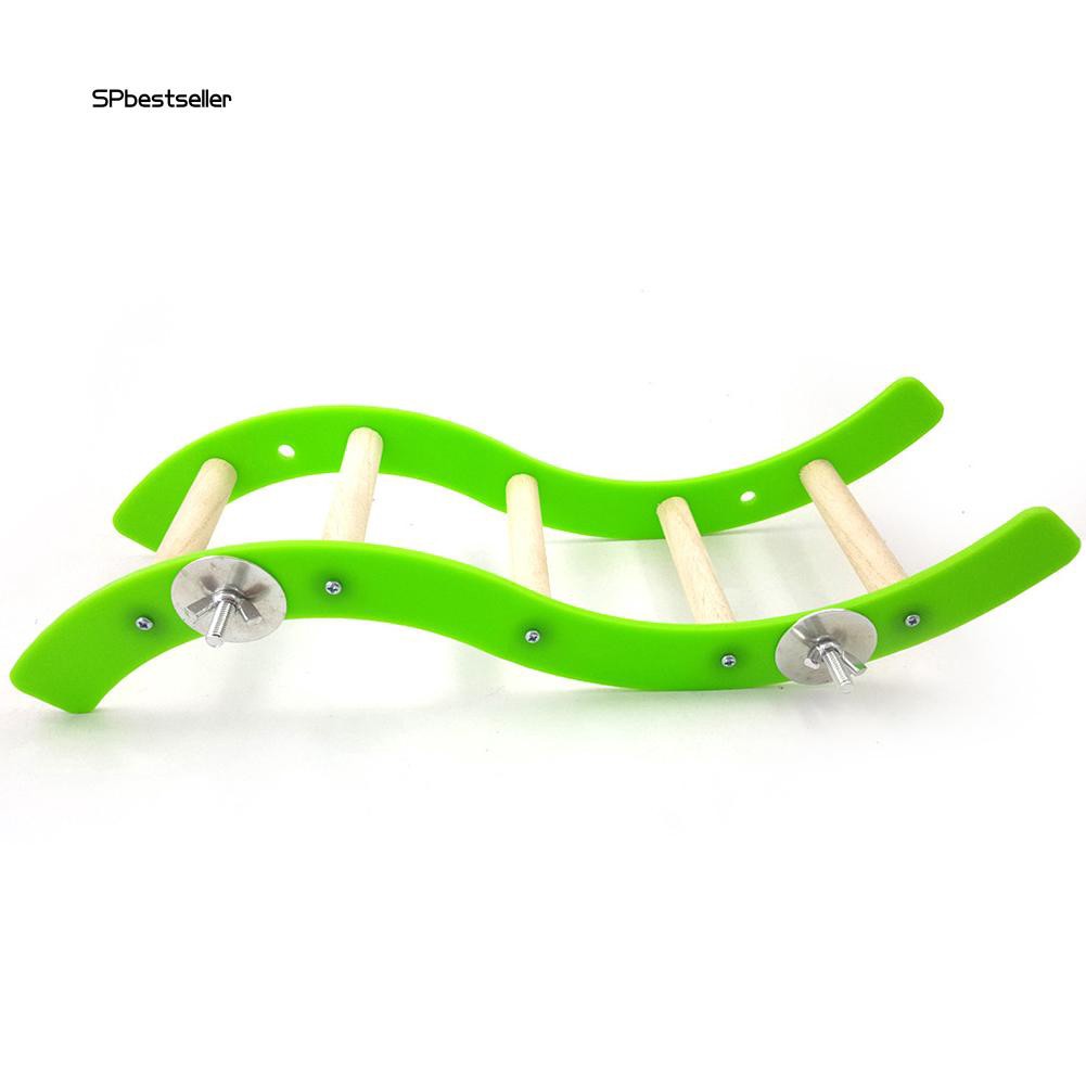 Cầu thang gợn sóng bằng nhựa acrylic gắn lồng vẹt đầy tiện lợi