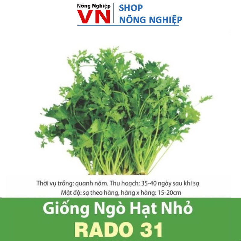 20Gr~1500 hạt giống rau mùi, ngò