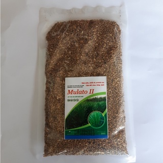Cỏ Mulato 2 Chịu Lạnh (Gói 200g)