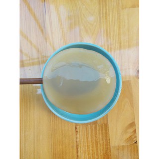 NẤM SCOBY/KOMBUCHA/THỦY SÂM