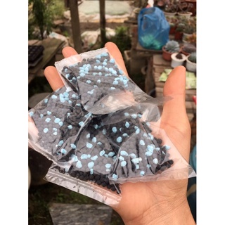 Phân bón cho sen đá , xương rồng