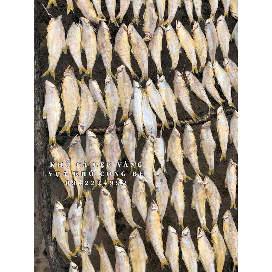 500GAM KHÔ CÁ LẸP VÀNG CÀ MAU