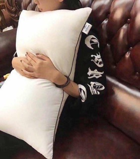 [ GIÁ HỦY DIỆT ] Ruột gối HILTON Pillow - 1 đôi cao cấp