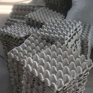 vỉ trứng gà (set/10 cái)