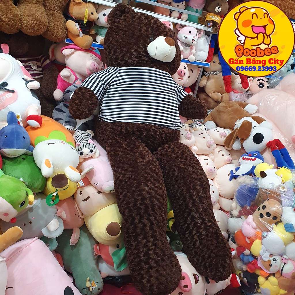 Gấu Bông Teddy Khổng Lồ Siêu To - Kích thước thực 1,83m (khổ vải 2,2m) - Thú nhồi bông lớn cao cấp