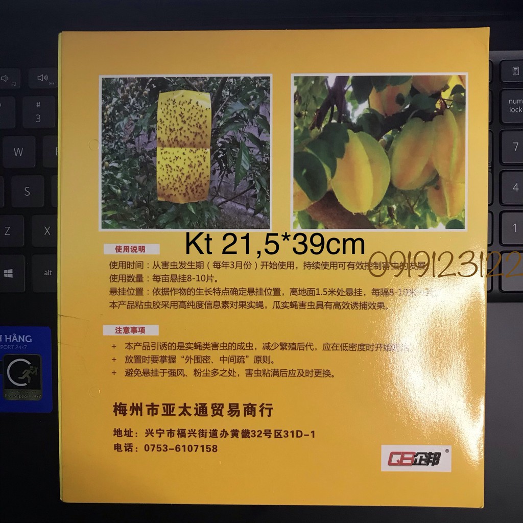 COMBO 5 MIẾNG DÍNH RUỒI VÀNG CỠ LỚN 21.5*39