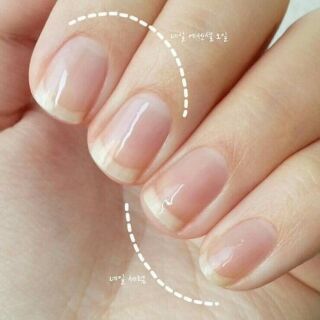 Sơn móng tay Innisfree Real Color Nail