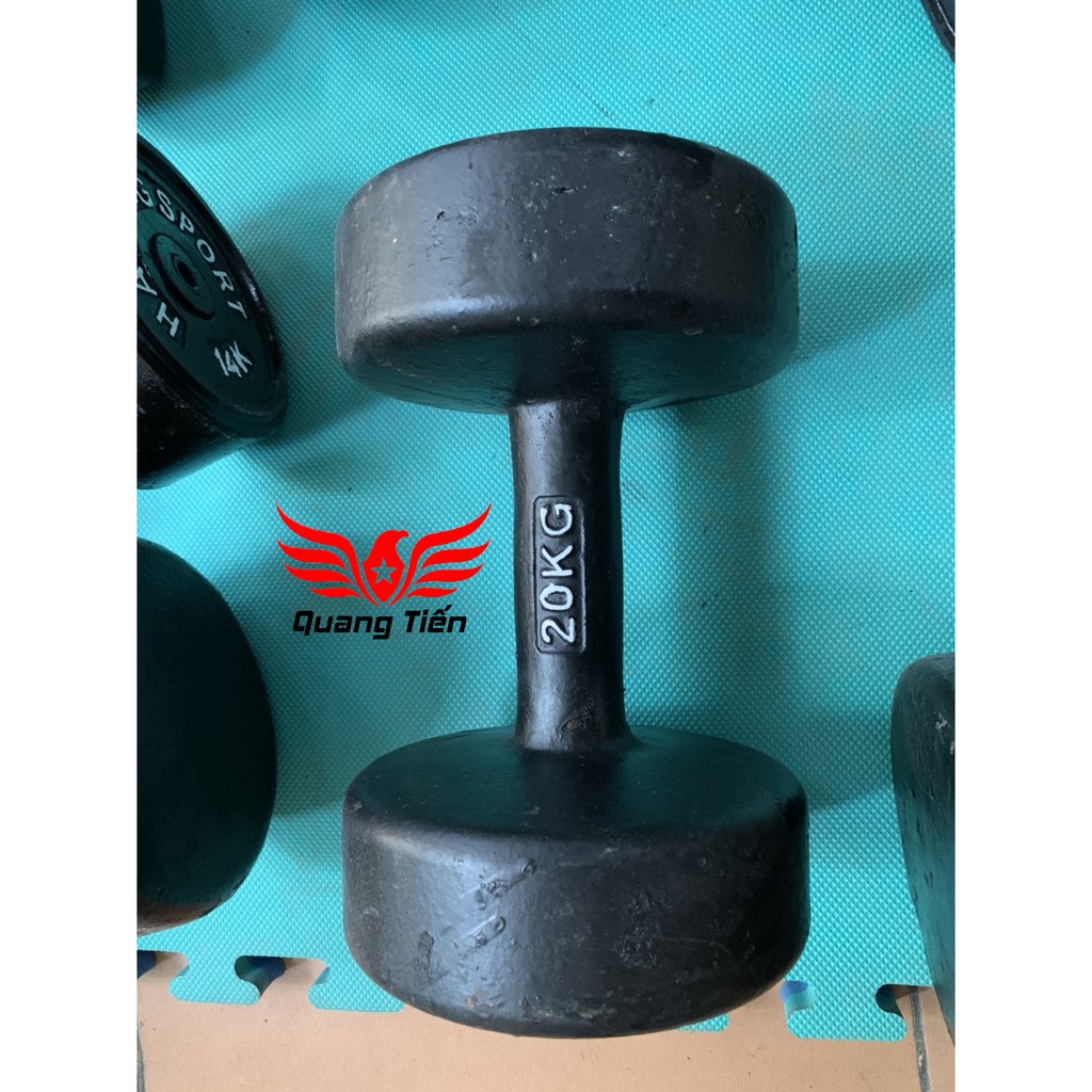 Tạ tay gang đúc loại đẹp 2022 12kg