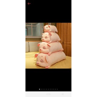 gấu heo mắt lim dim rễ thương