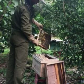 Mật ong rừng
